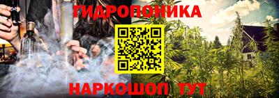 индика Пыть-Ях