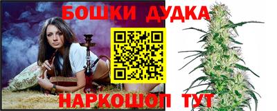 индика Пыть-Ях