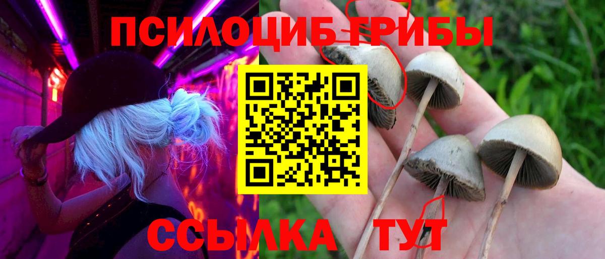 Псилоцибиновые грибы MAGIC MUSHROOMS Норильск